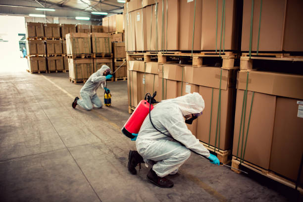 Trusted Gastonville, PA Pest Control Experts
