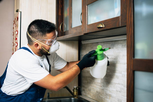 Best Flea Control Services  in Gastonville, PA