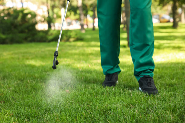 Best Flea Control Services  in Gastonville, PA