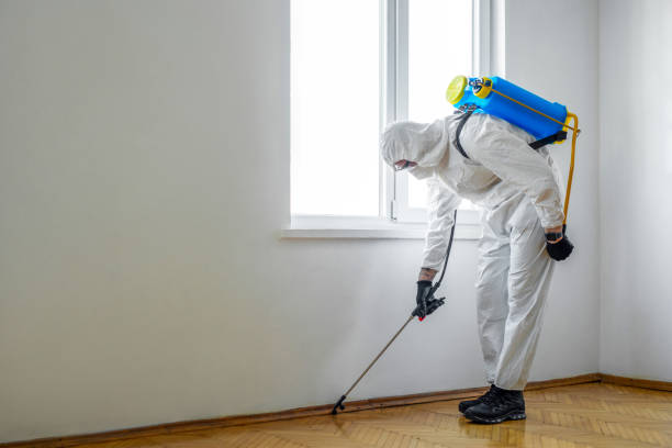 Flea Control Services in Gastonville, PA
