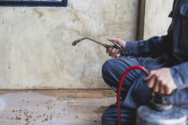 Best Affordable Pest Control Services  in Gastonville, PA
