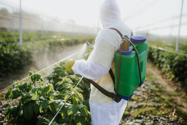 Best Pest Removal Services  in Gastonville, PA